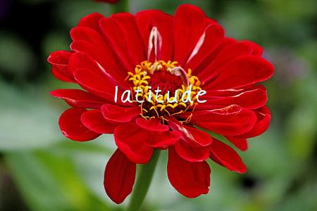 latitude