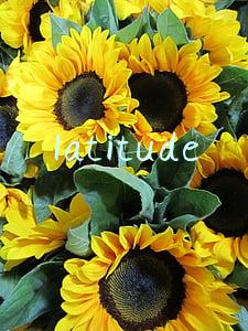 latitude