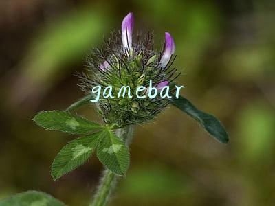 gamebar.exe是什么进程(为 PC 游戏优化：Win10 上线新版 Game Bar，与任务管理器相独立)