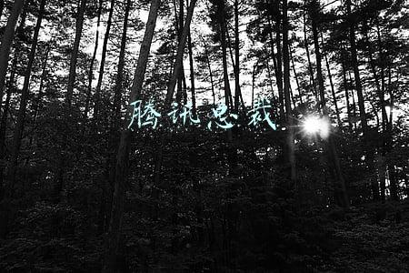 腾讯总裁
