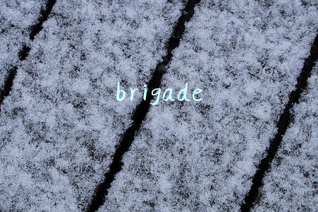 brigade怎么记(考研复试练口语记单词文本)