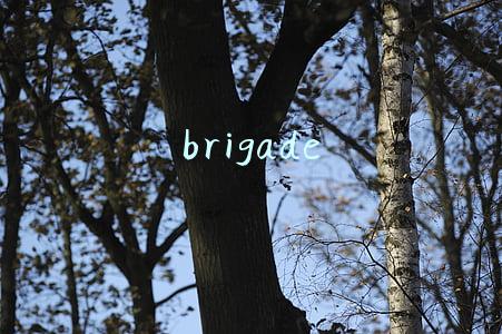 brigade