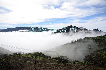 途迅旅游网