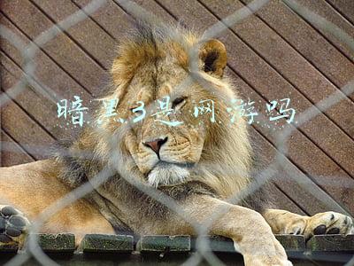 暗黑3是网游吗