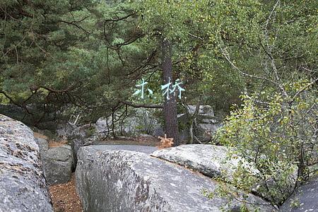 木桥