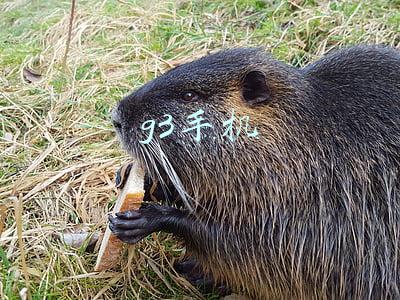 G3手机广告(G3云推广登陆宿迁电商产业园——江苏曲率)