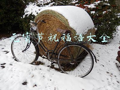 元宵节祝福语大全