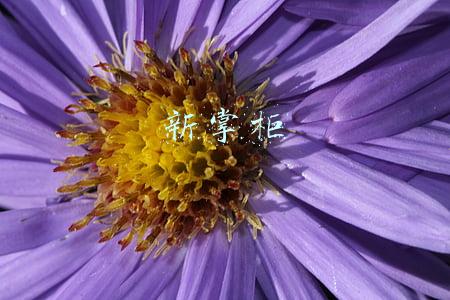 新掌柜物流(生鲜电商加速分化 U掌柜规模续减或步许鲜后尘？)