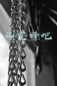 谢霆锋吧