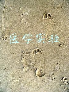 医学实验技术(金榜题名谈专业 ：医学检验技术与学实验技术)