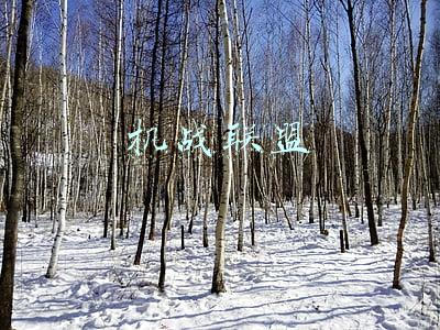 机战联盟