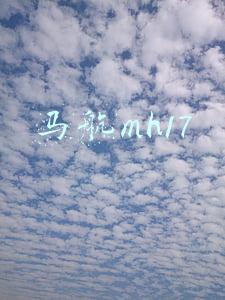 马航mh17