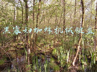 黑寡妇蜘蛛机械键盘