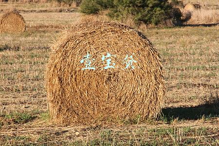 壹宝贷最新消息(天河警方依法对“壹宝贷”涉嫌非法吸收公众存款立案侦查)