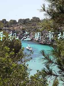 手机应用市场