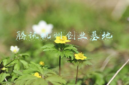 腾讯杭州创业基地