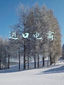 进口电商