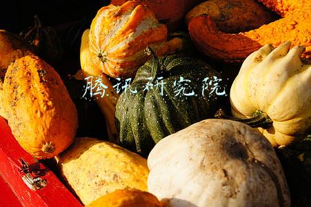 腾讯研究院
