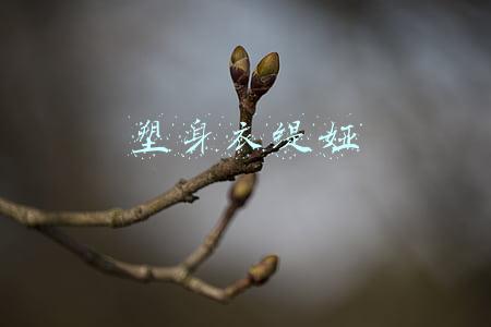 塑身衣缇娅