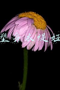 克丽缇娜塑身衣(国泰君安：“她经济“：秀色可餐 纵享盛宴)