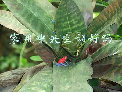 家用中央空调好吗