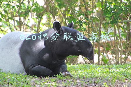 o2o积分联盟商城