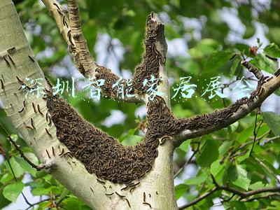 深圳智能家居展会