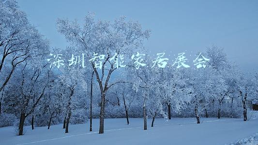 深圳智能家居展会