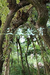 三立教育