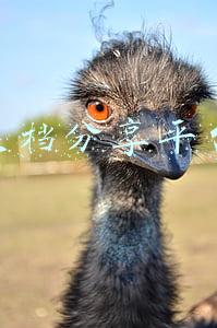 文档分享平台