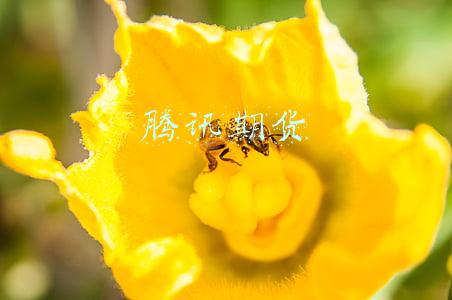 腾讯期货