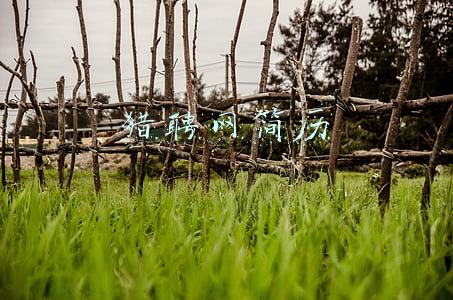 猎聘网简历