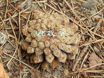 vc投资