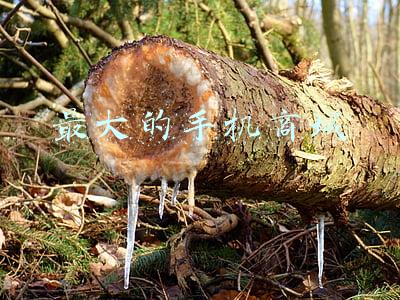 最大的手机商城