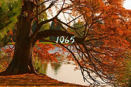 1065