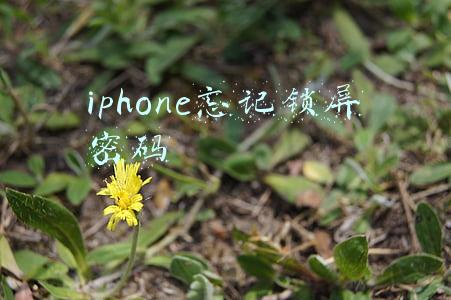 iphone忘记锁屏密码