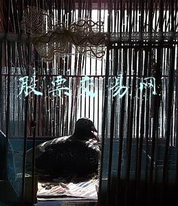 股票交易网