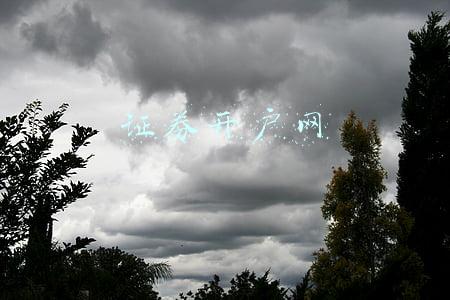 证券开户网上还是柜台好(股票开户该选择哪家券商？网上开户和去营业部开户有区别吗？)