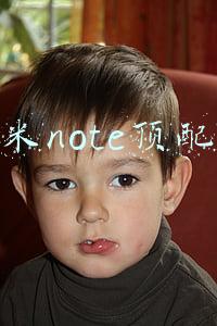 小米note顶配版