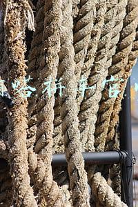 嘀嗒拼车官网