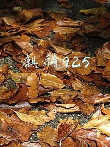 麒麟925