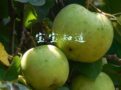 宝宝知道