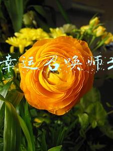 lol幸运召唤师3月