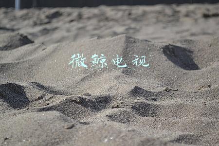 微鲸电视