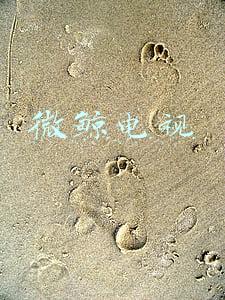 微鲸电视