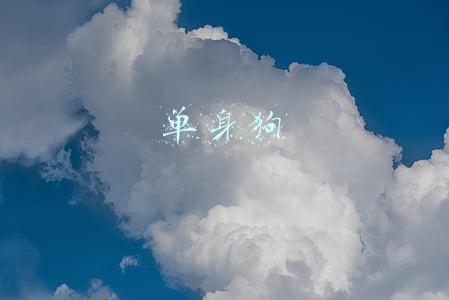 单身狗