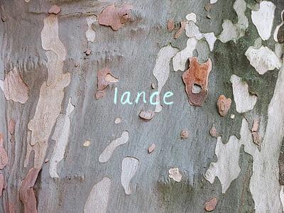 lance