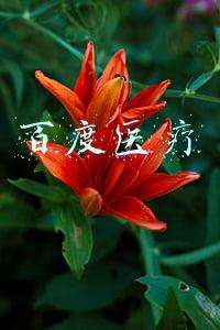 百度医疗