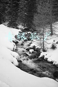 青眼狐尸的忧郁(你一定认可的五本网络小说，每一本都是经典)