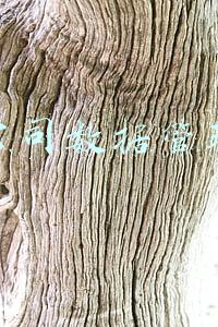 公司数据管理